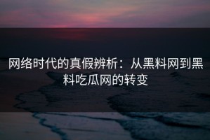 网络时代的真假辨析：从黑料网到黑料吃瓜网的转变