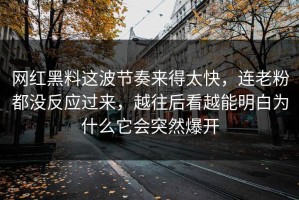 网红黑料这波节奏来得太快，连老粉都没反应过来，越往后看越能明白为什么它会突然爆开