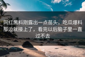网红黑料刚露出一点苗头，吃瓜爆料那边就接上了，看完以后脑子里一直过不去