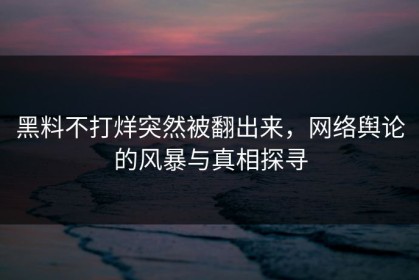 黑料不打烊突然被翻出来，网络舆论的风暴与真相探寻
