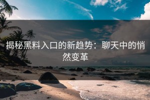 揭秘黑料入口的新趋势：聊天中的悄然变革