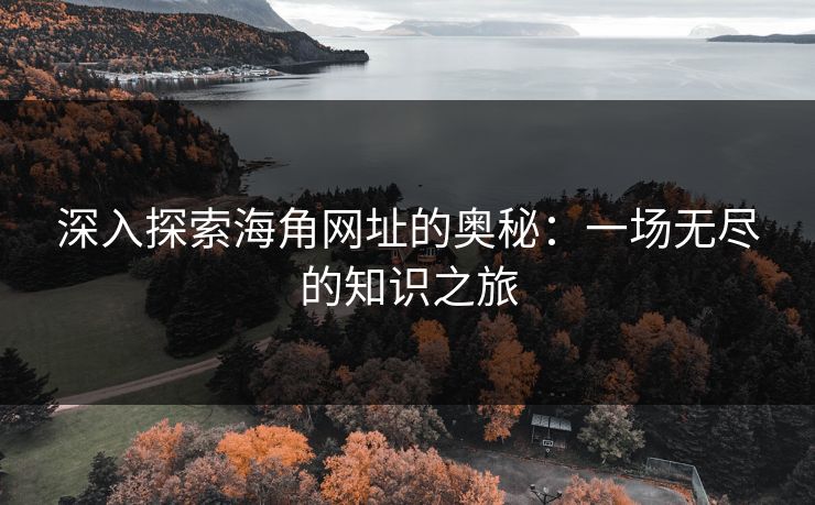 深入探索海角网址的奥秘：一场无尽的知识之旅