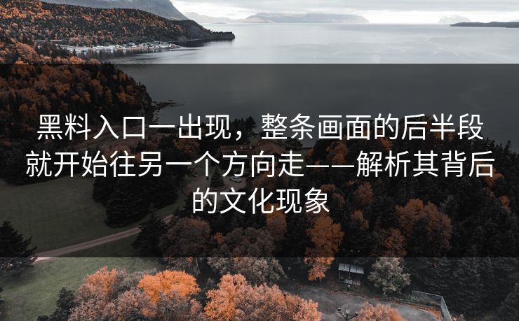 黑料入口一出现,整条画面的后半段就开始往另一个方向走——解析其背后的文化现象 黑料入口一出现,整条画面的后半段就开始往另一个方向走——解析其背后的文化现象