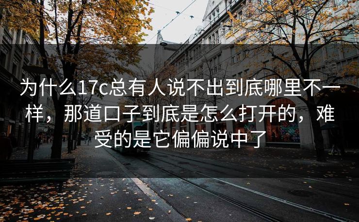 为什么17c总有人说不出到底哪里不一样，那道口子到底是怎么打开的，难受的是它偏偏说中了